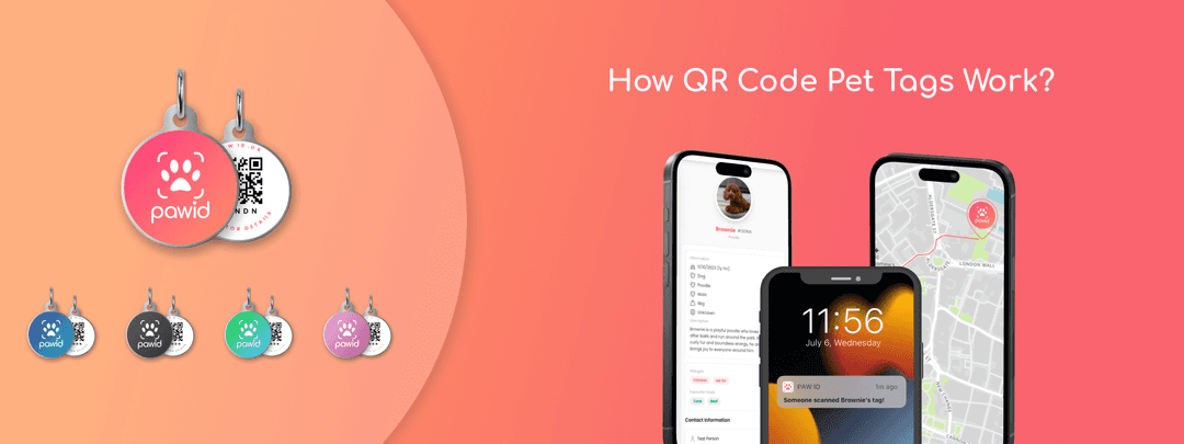 Do QR Dog Tags Work?