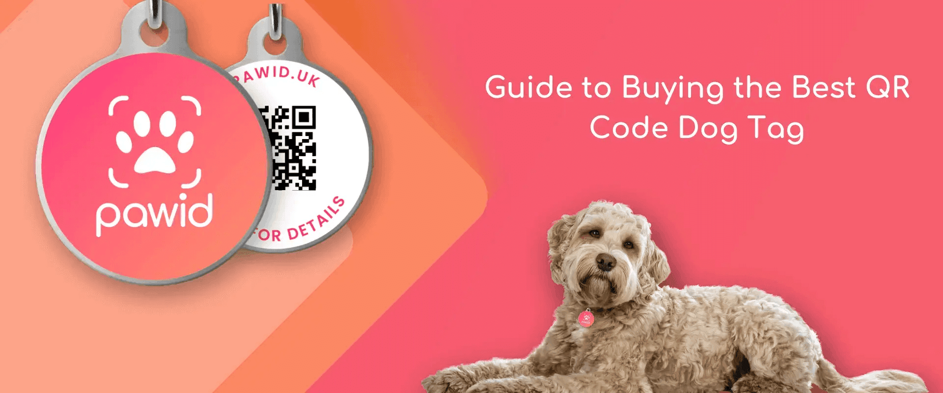 Why Paw ID QR Code Dog Tags are a Game Changer