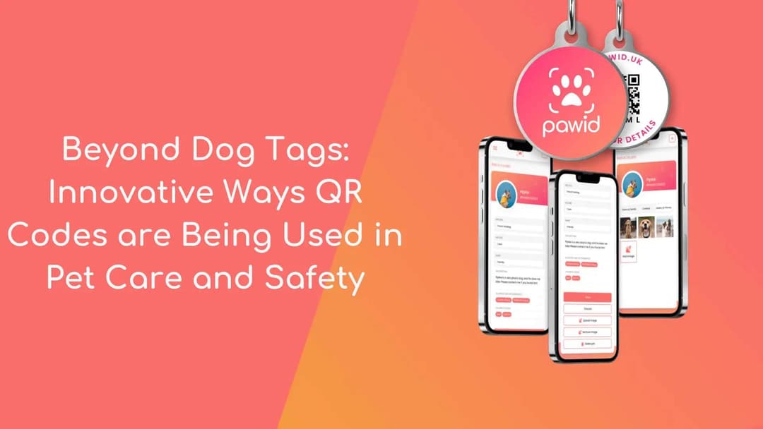 Beyond Dog Tags: Innovative Ways QR Codes are Being Used in Pet Care and Safety