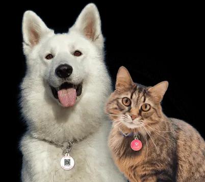 Scannable smart tag for your pet