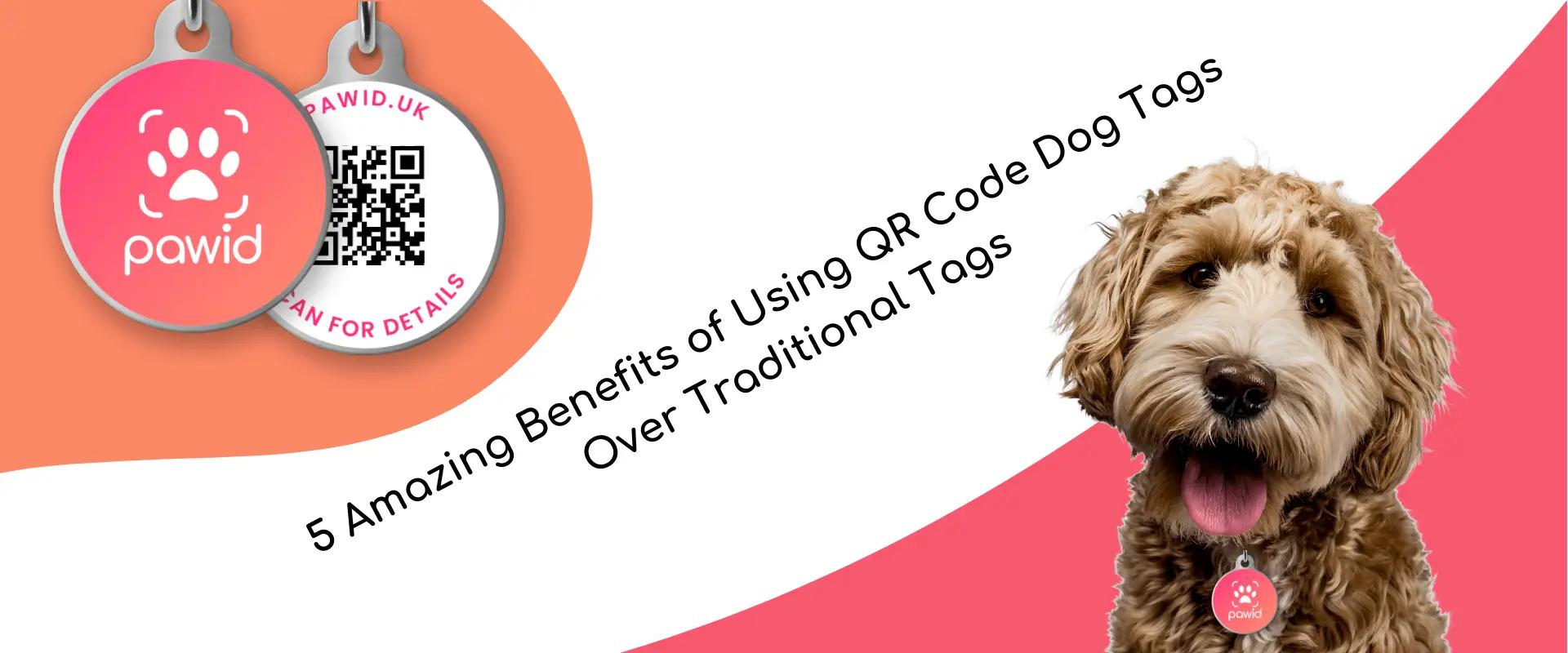 5 Amazing Benefits of Using QR Code Dog Tags over Traditional Tags