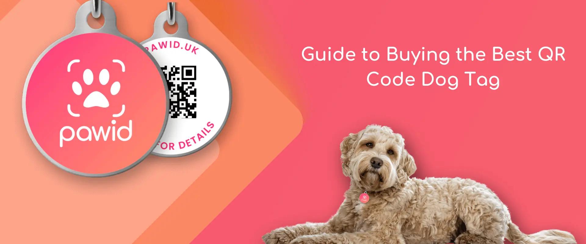 Guide to Buying the Best QR Code Dog Tag