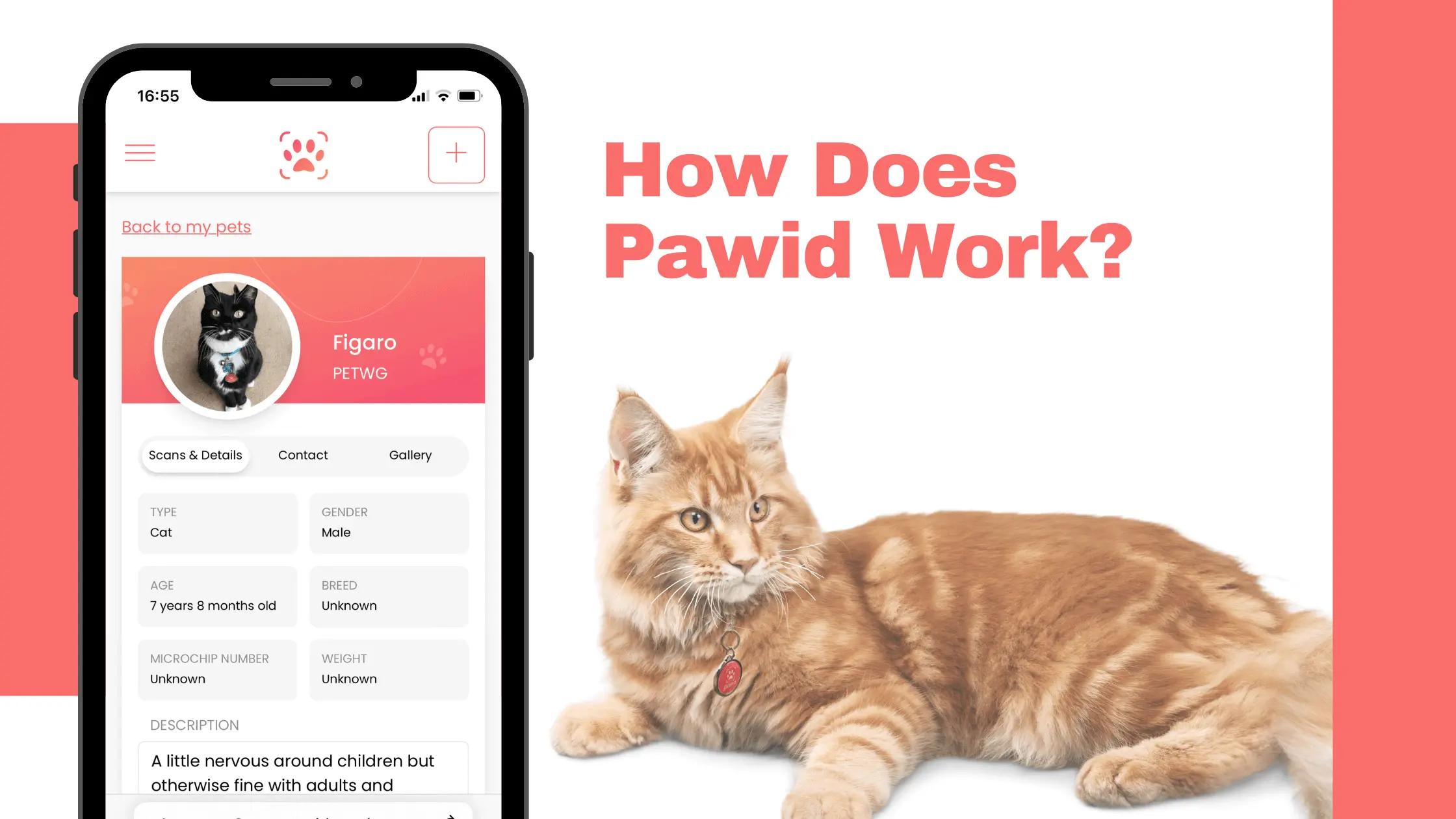 How Does PAWID Work?