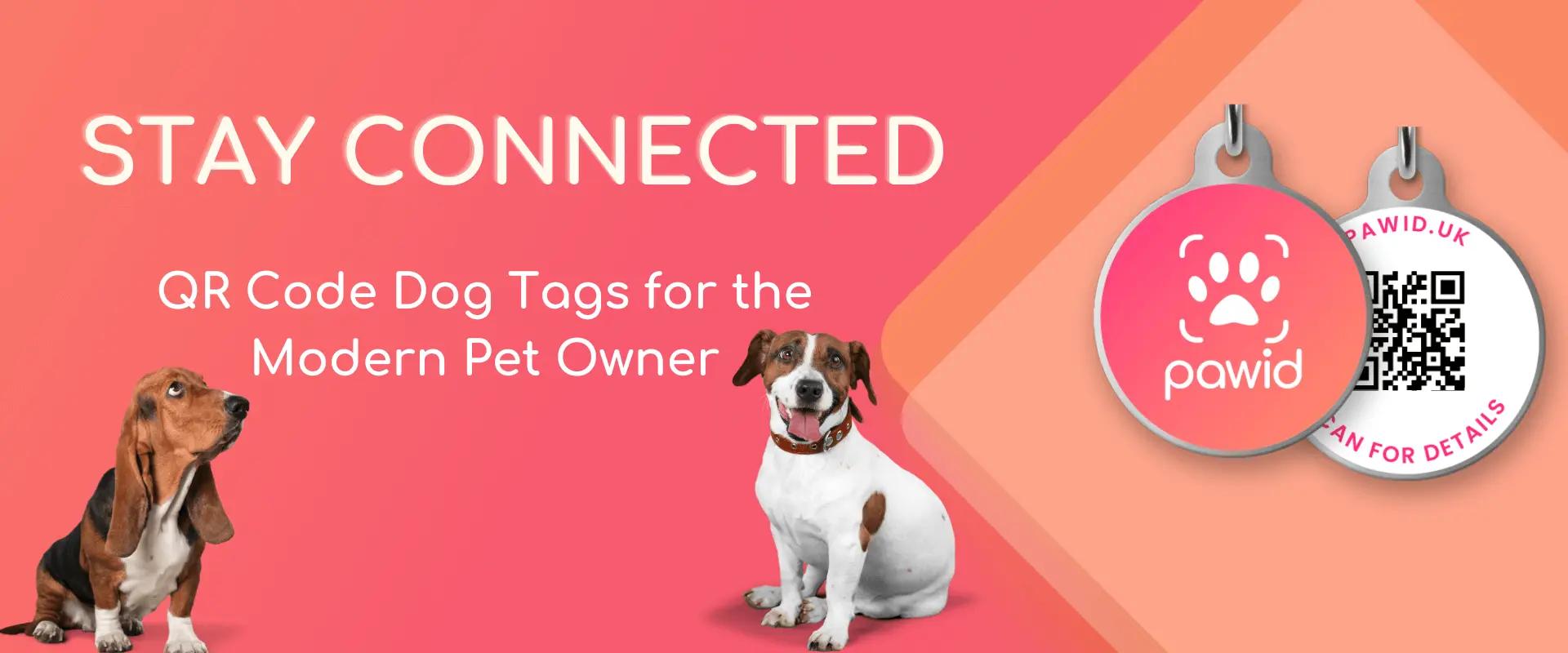 What Are QR Code Dog Tags?