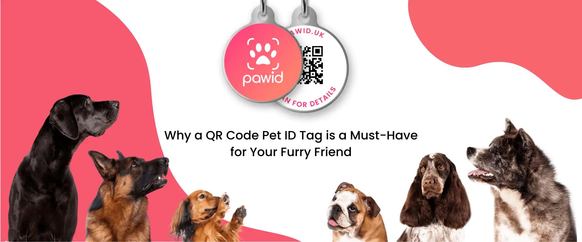 Why a QR Code Pet ID Tag is a Must-Have for Your Furry Friend