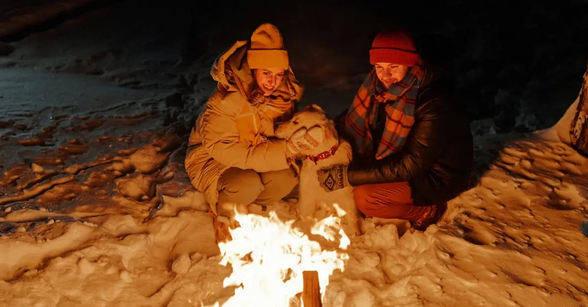Two people in winter clothing with dog by campfire in snowy outdoor night setting