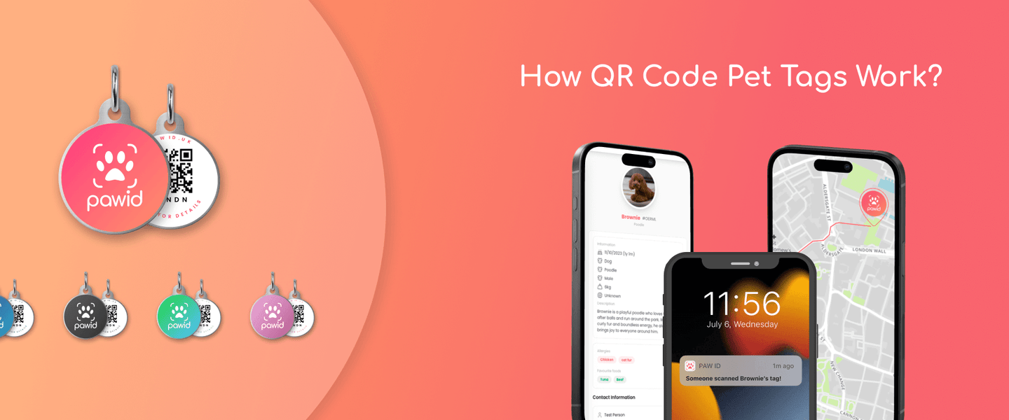 Do QR Dog Tags Work? – Paw ID