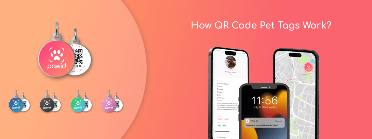 QR code pet tags in multiple colors shown with phones displaying pet info and location alert