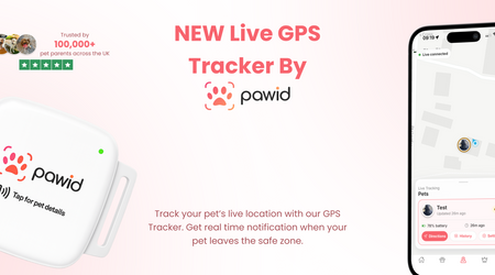 GPS Tracker for Dogs: Why Every Dog Owner Should Consider One