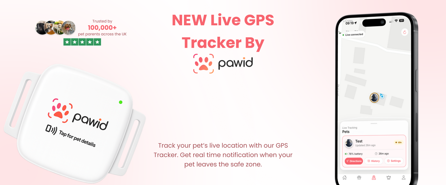GPS Tracker for Dogs: Why Every Dog Owner Should Consider One
