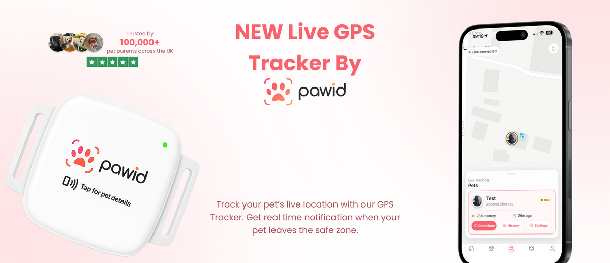 PawID live GPS pet tracker device and mobile app interface for real-time location tracking.