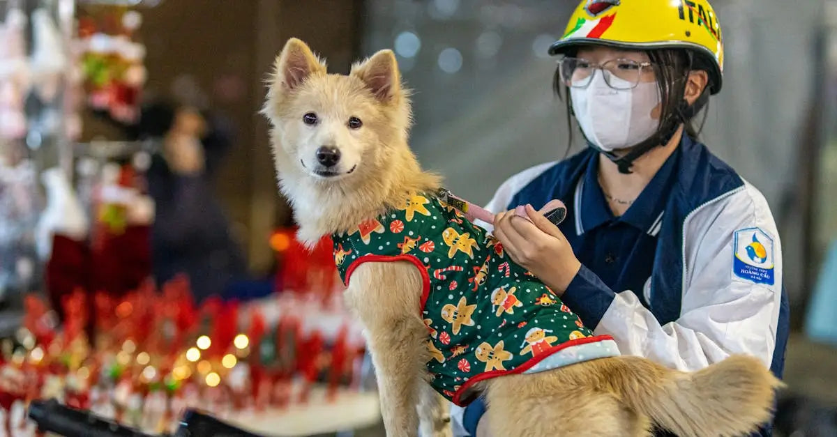 Dog in festive Christmas vest with woman wearing mask and helmet at holiday market