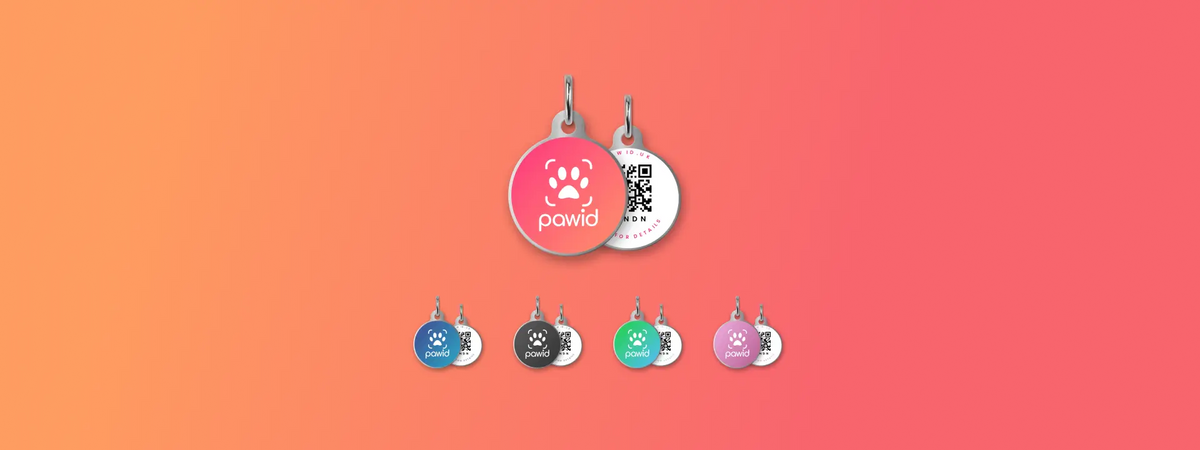 Colorful QR code pet tags with paw print icons on a gradient background, smart pet ID tags.