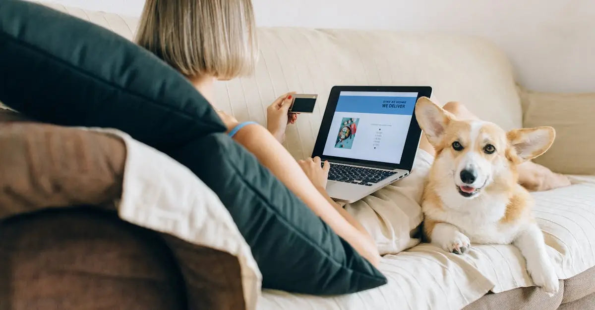 Woman shopping online on laptop for pet products while sitting on sofa with corgi dog