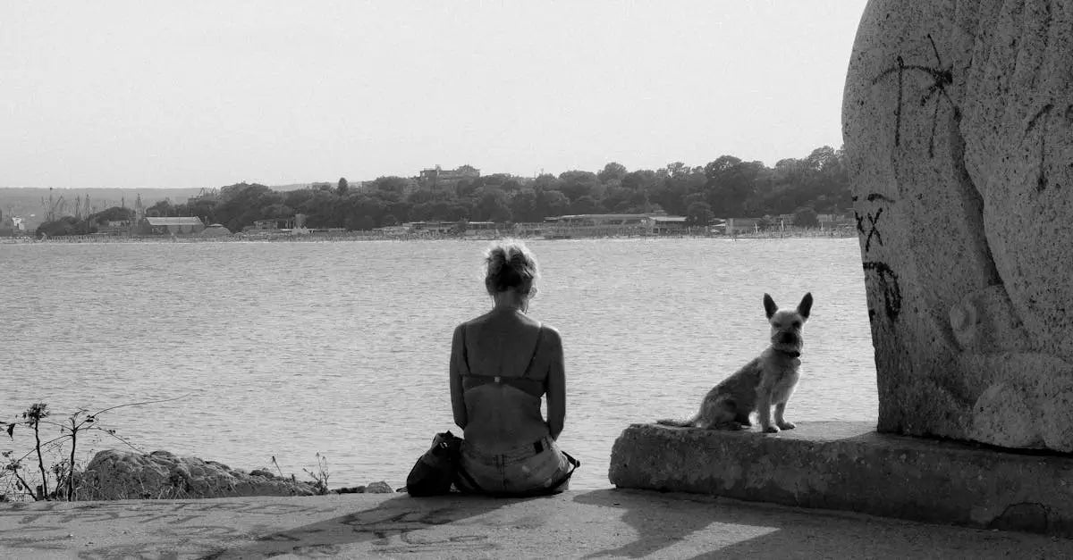 Woman and small dog sitting by waterfront, pet safety and outdoor companionship