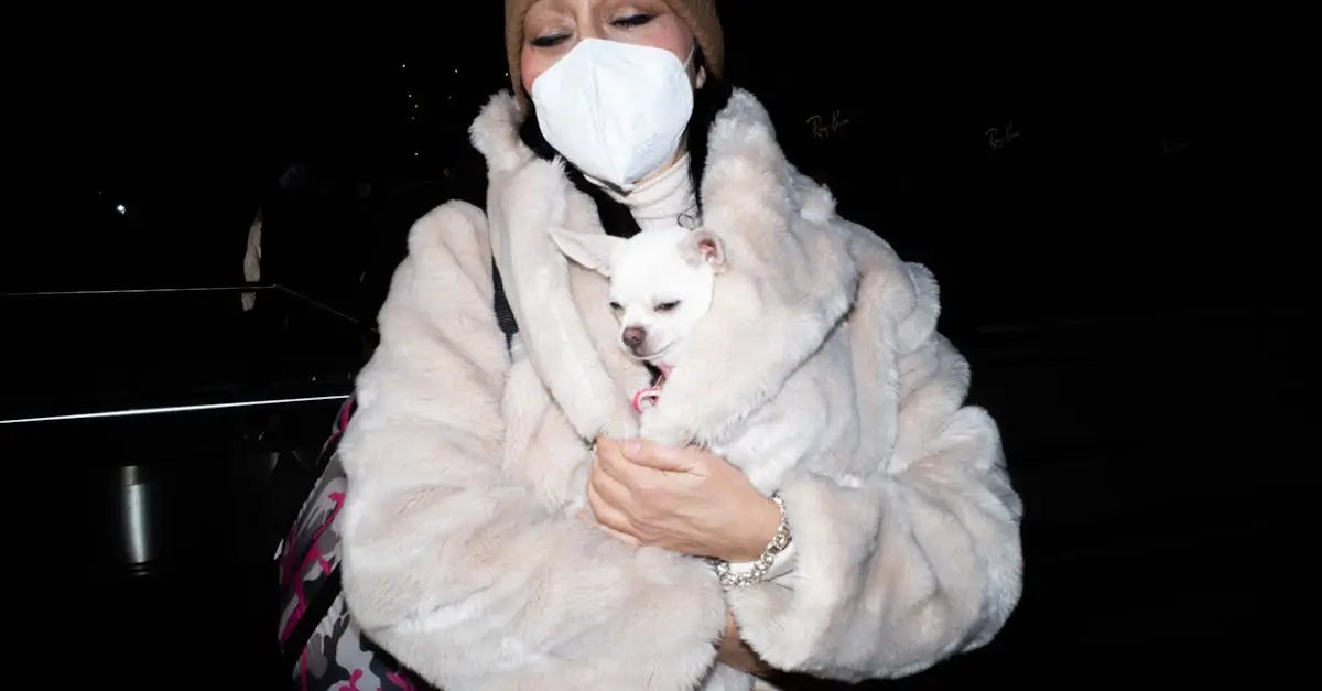 Woman in mask holding small white dog in coat at night, pet safety concept