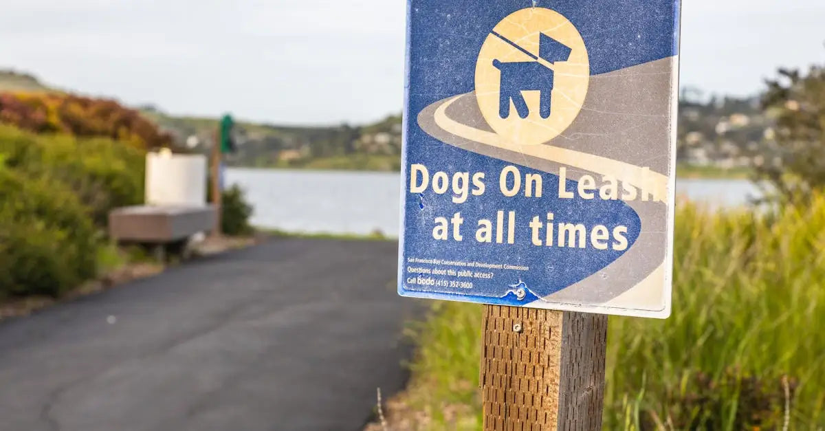 Dogs on leash sign along a park path near a lake, promoting outdoor pet safety.