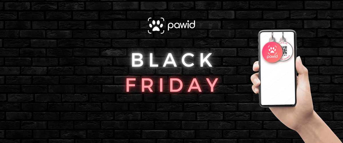 Hand holding phone with QR pet tags, Black Friday sale neon text on black brick wall background