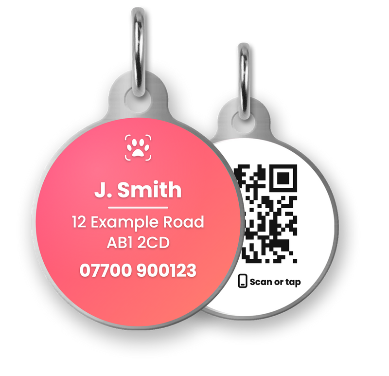 The New Personalised Paw ID Tag with Your Details, QR Code and NFC