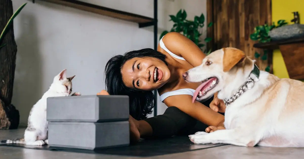 Woman playing with dog and cat indoors, pet safety and pet-proofing home concept
