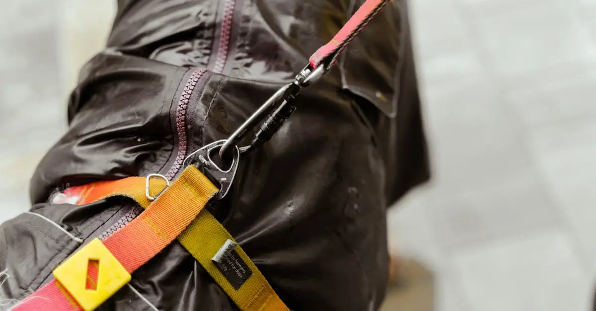 Close-up of a dog in a raincoat with a leash and harness on a wet pavement.