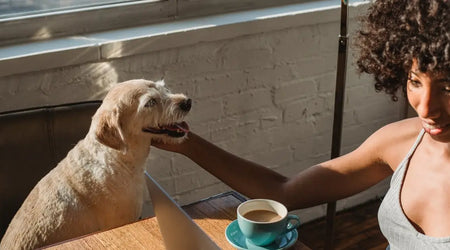 Woman petting happy dog indoors beside coffee cup and laptop in natural light