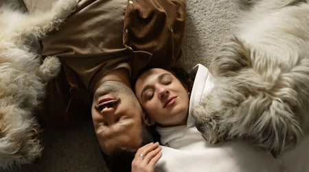 Couple relaxing on carpet with two fluffy dogs, calm pet comfort scene