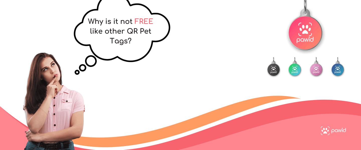 Woman thinking about QR pet tags with multiple colorful smart pet ID tags displayed on a white background.