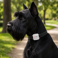 Paw ID GPS Tracker V1