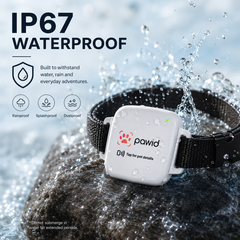 Paw ID GPS Tracker V1