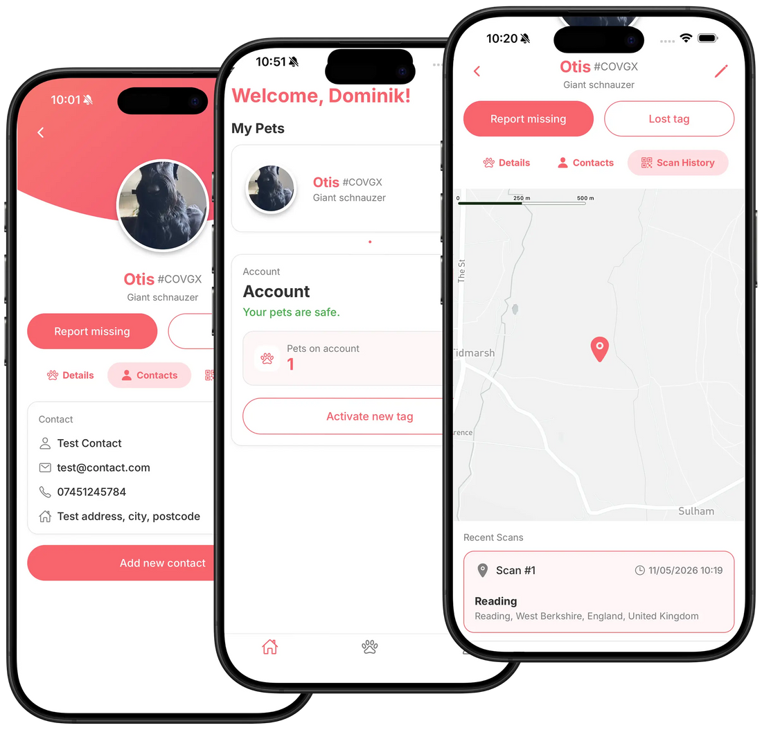 Paw ID mobile app on a phone