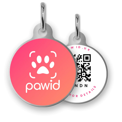Smart QR code dog tag with paw print design and gradient pink front