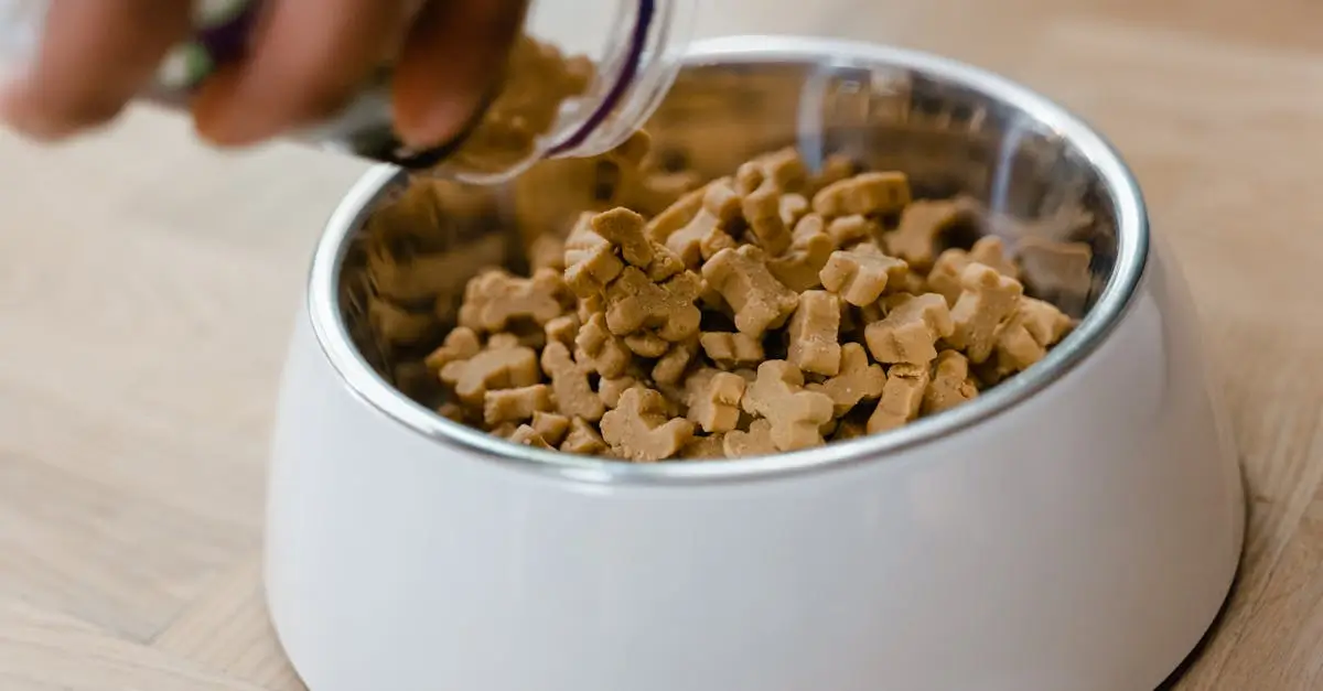 The Ultimate Guide to Healthy Pet Nutrition and Treats in 2025