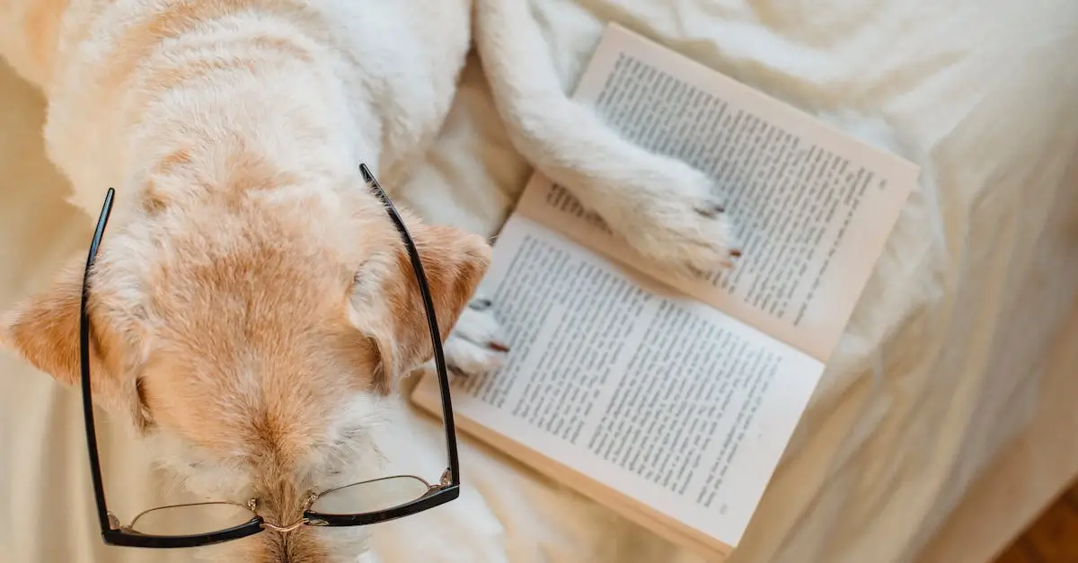 Smart Pet Essentials for 2025: Top Products for a Safer, Happier Home